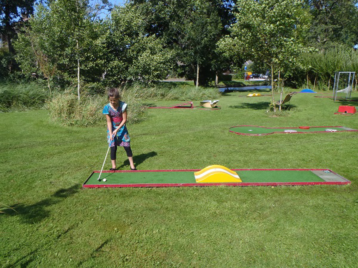 Mini golf